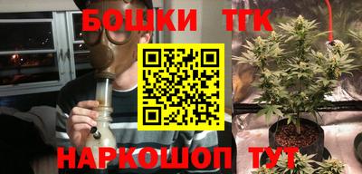 сатива Кунгур
