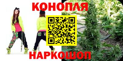сатива Кунгур